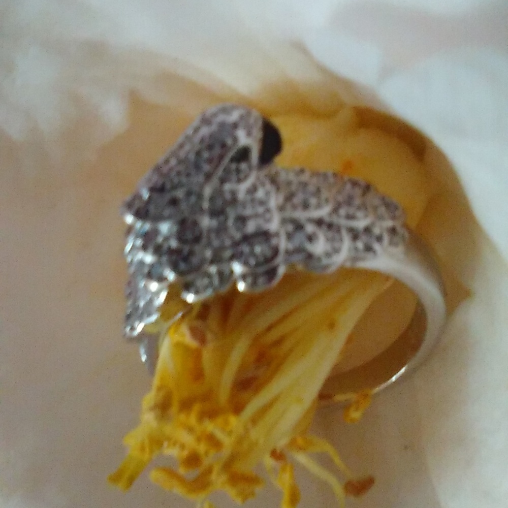 Parrot Ring